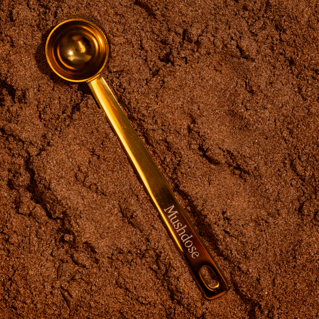 MUSHDOSE - 6 funghi adattogeni in un caffè funzionale